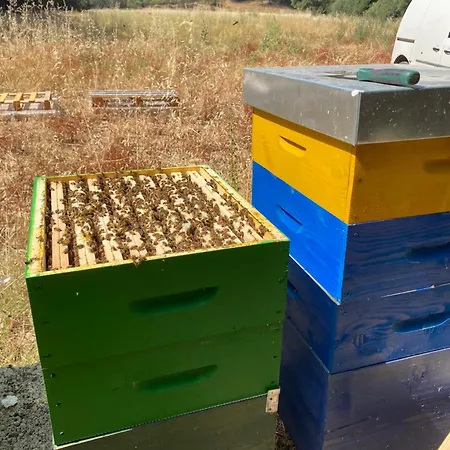 Prázdninový dům Stazzu Pittorra Barrabisa