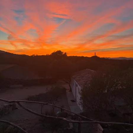 Stazzu Pittorra Barrabisa